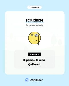 scrutinize definition and synonyms 